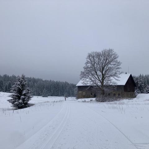 Nový Brunst
